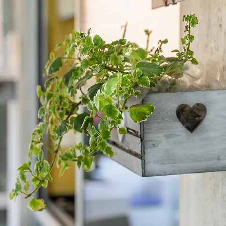 Hotel Granada Jesolo